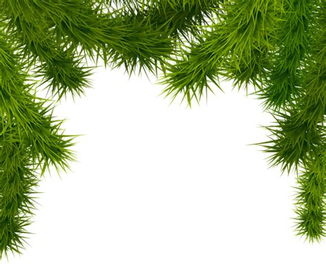 Christmas Branches Png Photo Png Mart