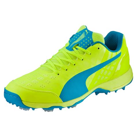 Puma Evospeed Spike 14 Cricket Boots Footwear Cricket Men New Ebay