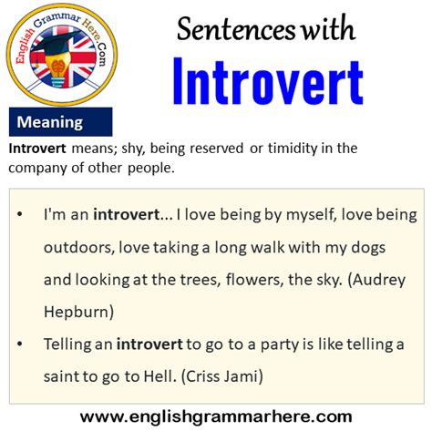 Sentences With Introvert Introvert In A Sentence And Meaning English