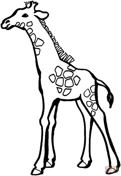 Giraffes have a giant neck, can you paint something this big? Baby Giraffe coloring page | Free Printable Coloring Pages