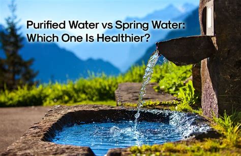 purified water vs spring water benefits alive water