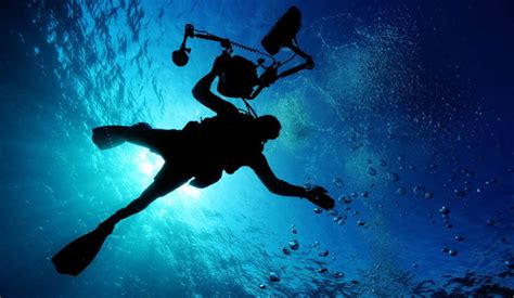 10 Best Scuba Diving Tips For Beginners The Scuba News