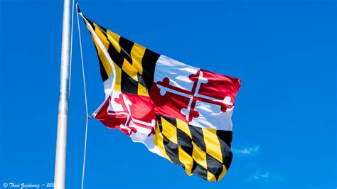 Maryland State Flag Olney Maryland Thad Zajdowicz Flickr