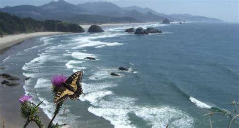A hostel, guesthouse, bed breakfast, located in the columbia river gorge and only 40 minutes from portland oregon. These 14 State Parks In Oregon Will Knock Your Socks Off