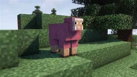 What Do Sheep Eat In Minecraft To Breed