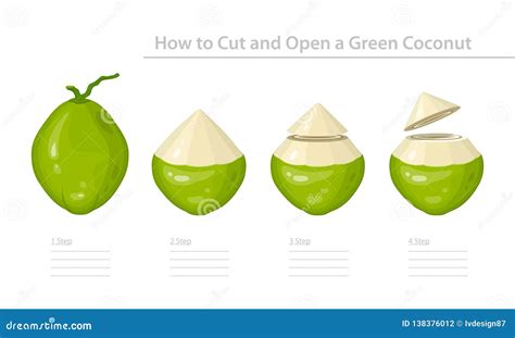 How To Cut And Open A Green Young Coconut Step By Step Instruction