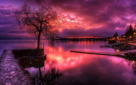 Glorious Purple Sunset Hd Wallpaper Background Image 1920x1200