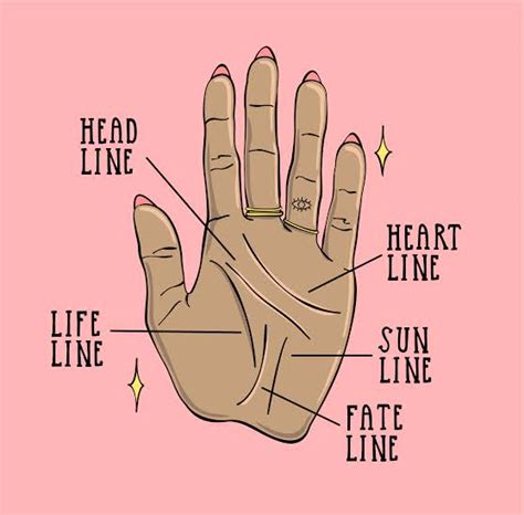 The Meaning Of The Lines On Your Palm Information Blog At
