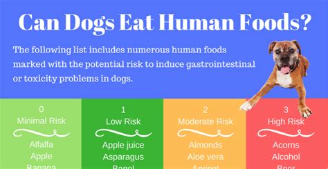 Can Dogs Eat Human Food Puppy Smarts