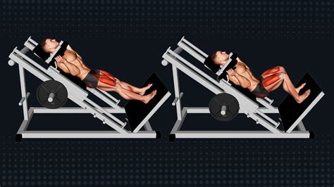 Sled Hack Squat Guide Tips Benefits Variations Programming And More