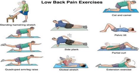 Core Muscles Core Muscles Exercises For Back Pain