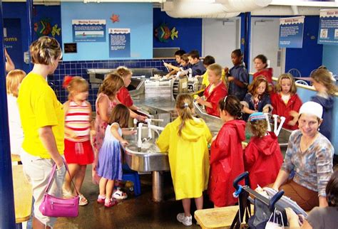 In cleveland, kids' activities can be found in every corner, so it's easy for parents to refresh their repertoire. Kids Activities in Cleveland, Ohio