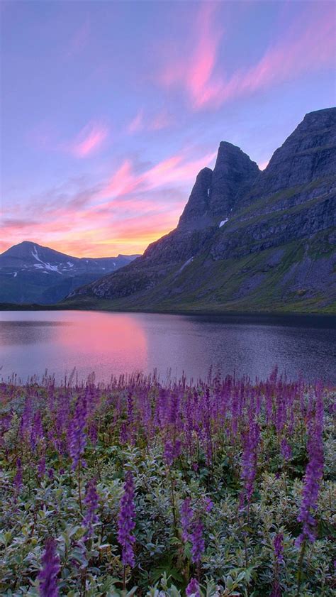 Norway Nature Scenery Lake Mountains Flowers Sunrise Iphone X 876