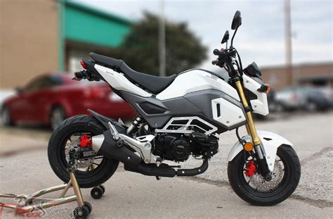 Blaze yellow black stunt race build page 2 honda grom. Honda Grom Stunt Cage for Extra Safety to Avoid Unwanted ...