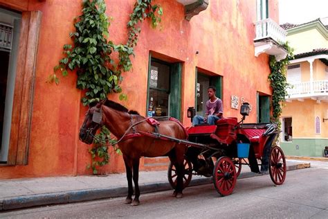 2023 Cartagena Horse And Carriage Night Ride Including Dinner