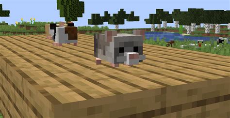 Guinea Pigs Minecraft Texture Pack