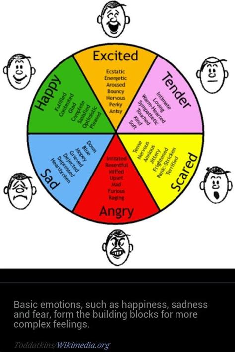 Simple Feelings Emotion Chart Feelings Chart Feelings