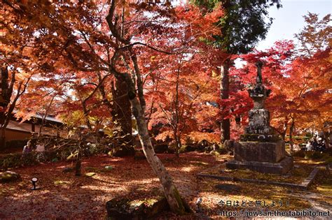 滋賀県東近江市の大本山永源寺へ紅葉を見に散策ぶらり旅 今日はどこを旅しよう！
