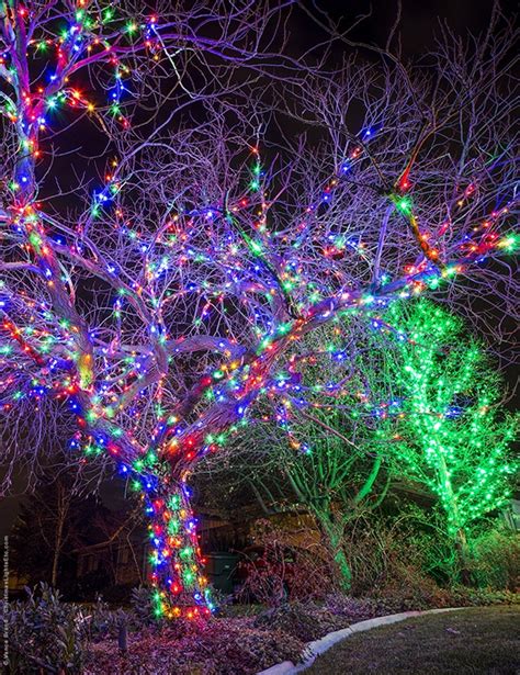 How To Wrap A Tree With Christmas Lights