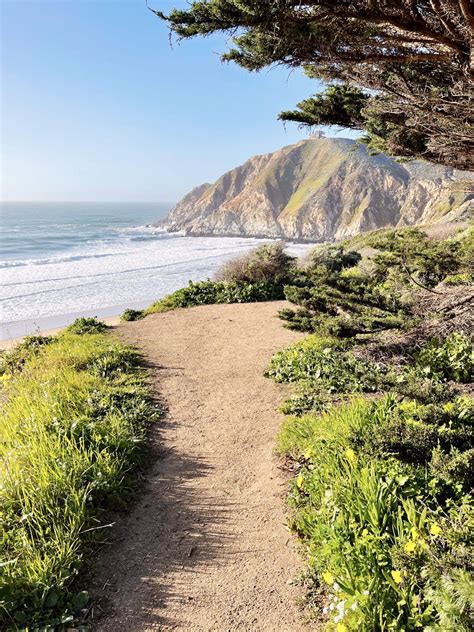 Best Hikes In Half Moon Bay Coastal Bluffs Redwood Forests