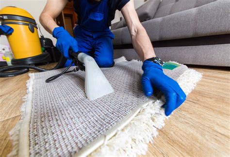 Professional Rug Cleaners Rug Cleaning Services Oxford Cleaning Sydney