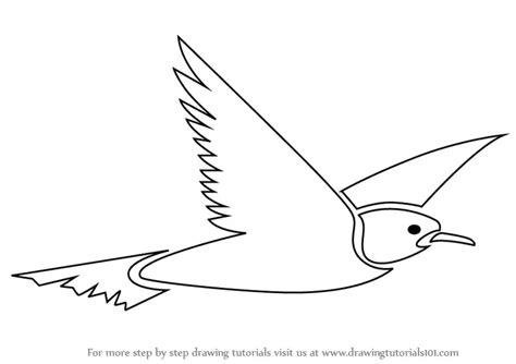 Step By Step How To Draw A Flying Bird For Kids
