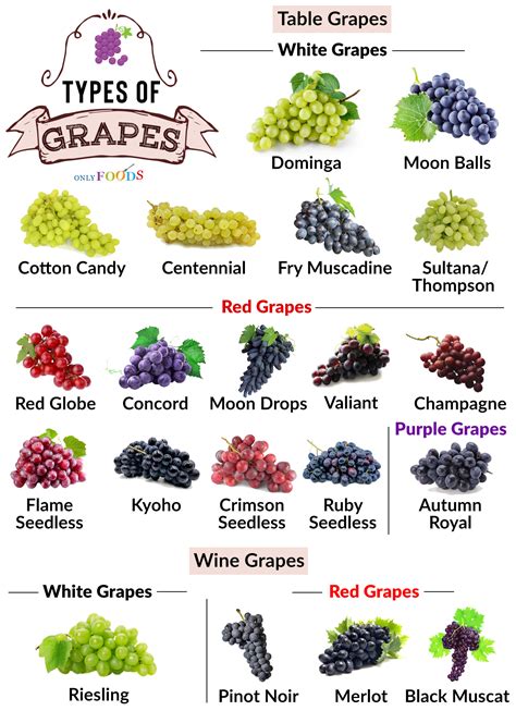 Different Types Of Grapes