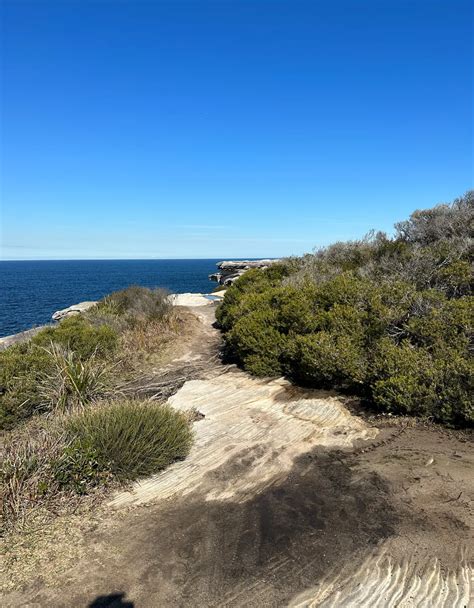 Secret Skylight Cave Cape Solander Kurnell Full Guide To Finding It