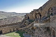 David Vi Of Georgia Photos and Premium High Res Pictures - Getty Images