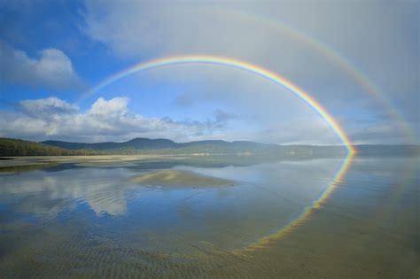 Two People Never See The Same Rainbow And 6 More Amazing Facts About