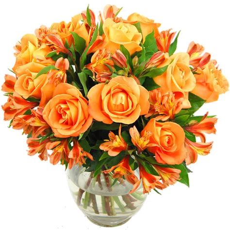 Send cheer, happiness and love with orange flower arrangements and bouquets. Orange Rosmeria Fresh Flower Bouquet | Roses and ...