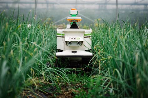 The Next Frontier Of Weeding Robots Gofar