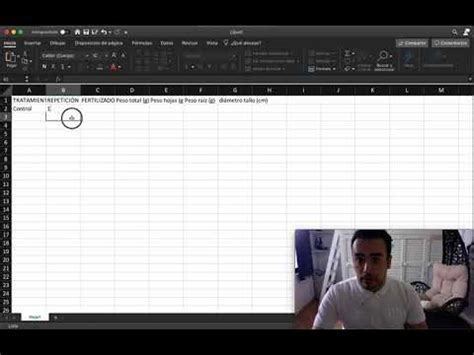 Organizar Datos En Ms Excel Youtube