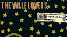Critique de l'album The Wallflowers: Bringing Down the Horse - Zimbalam
