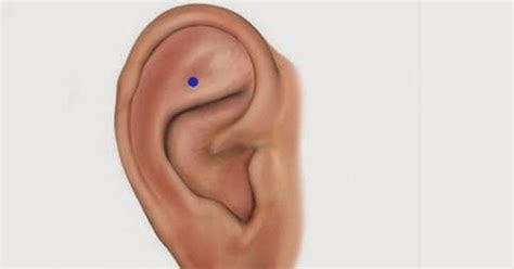 This Is What Happens When You Massage This Point On The Ear Wise Diaries