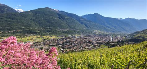 Home Valtellina