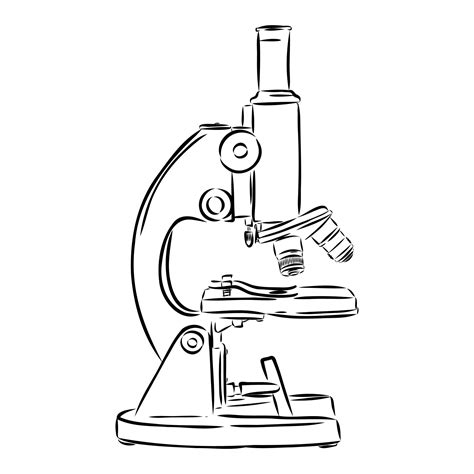 Microscope Vector Sketch 7307564 Vector Art At Vecteezy