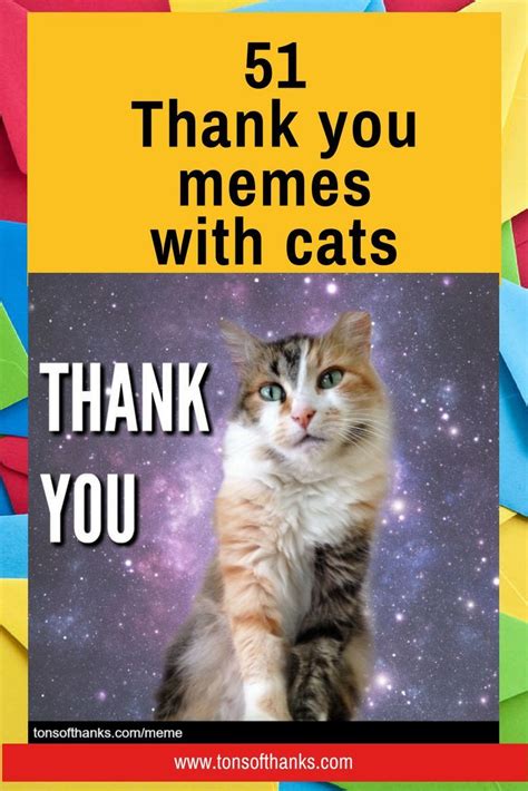 56 Cute Cat Thank You Memes Thank You Memes Cute Memes Memes