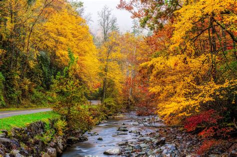 Usa Autumn Parks Forests Stream Great Smoky Mountains Nature