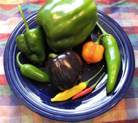 Peppers spice up the garden and kitchen - Our Twenty Minute Kitchen ...