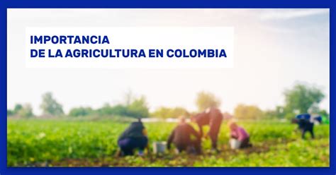 La Agricultura En Colombia Importancia De La Agricultura En Colombia