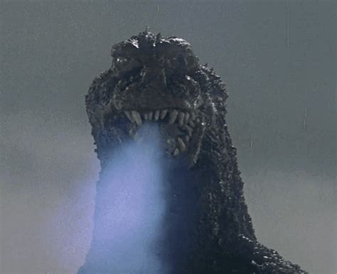 The details and connection you made here regarding the fight between two of cinema's most beloved and famous monsters. godzilla 1962 | Tumblr