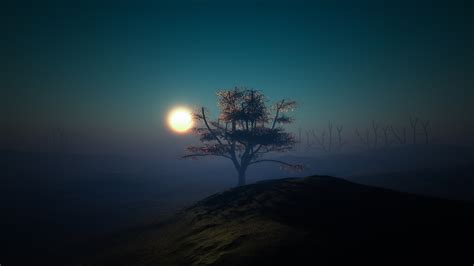 2560x1440 Resolution Tree Sunset Night 1440p Resolution Wallpaper