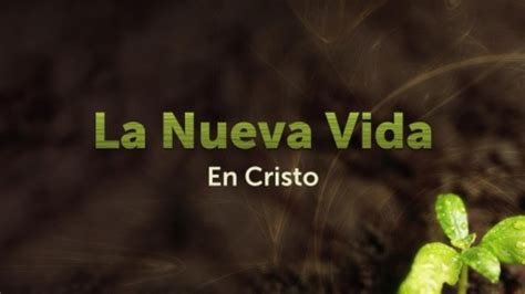 Estudio B Blico La Nueva Vida En Cristo Reflexi N Youtube