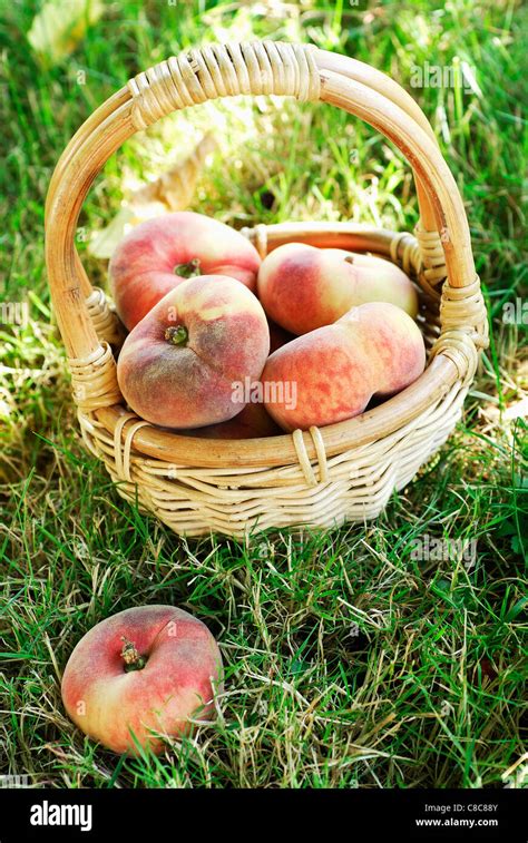 Basket Of Flat Peaches Stock Photo Alamy
