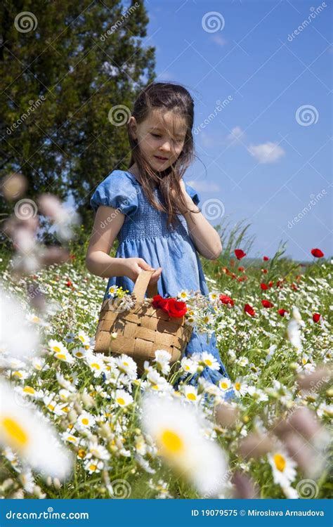 Spring Comes Stock Image Image Of Flowers Blue Landscape 19079575