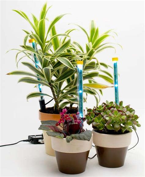 Although the sun is always the most efficient way to grow your plants. Sunshine Sticks: DIY Grow Lights for Plants During the Winter