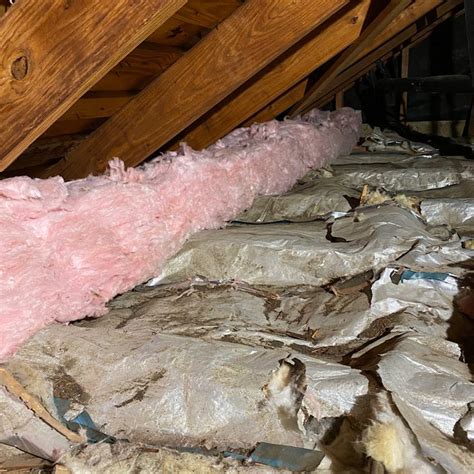 Attic Insulation Houston Texas Area Greenbuildingadvisor