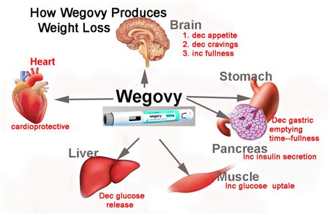Taking Ozempic And Wegovy For Weight Loss These Drugs Are Now Linked