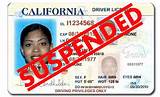 Check And See If License Is Suspended Photos